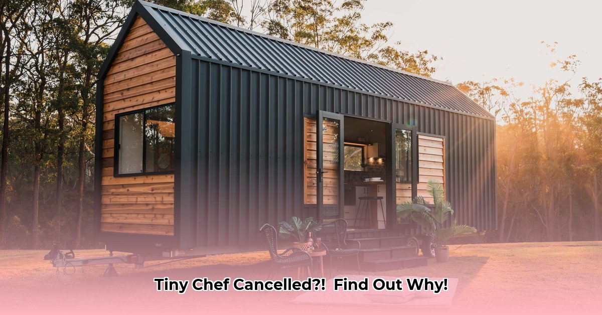 tiny-chef-nickelodeon